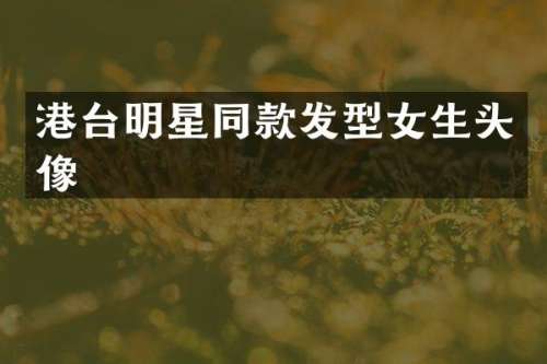港台明星同款发型女生头像