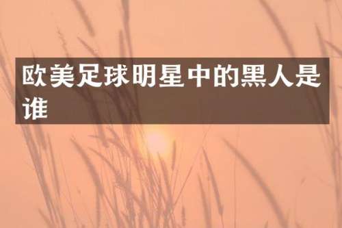 欧美足球明星中的黑人是谁