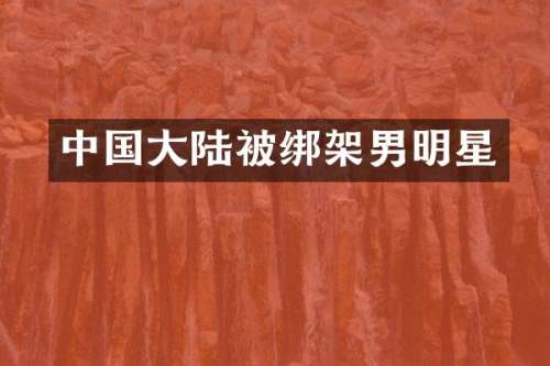 中国大陆架男明星