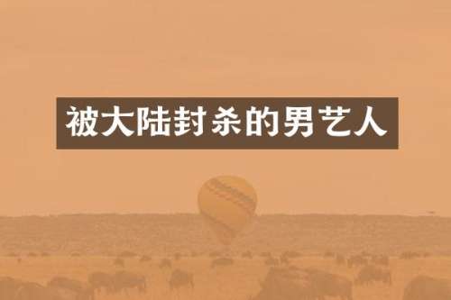 被大陆封杀的男艺人