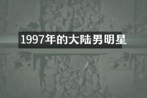 1997年的大陆男明星