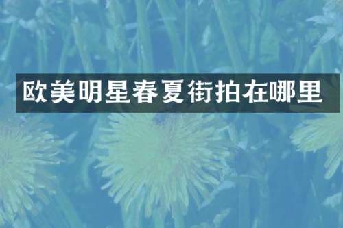 欧美明星春夏街拍在哪里