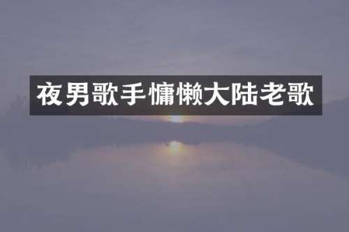 夜男歌手慵懒大陆老歌