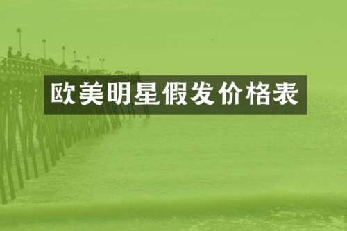 欧美明星假发价格表