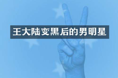 王大陆变黑后的男明星