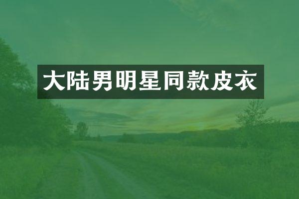 大陆男明星同款皮衣