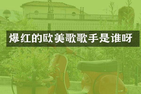 爆红的欧美歌歌手是谁呀