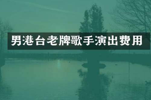 男港台老牌歌手演出费用