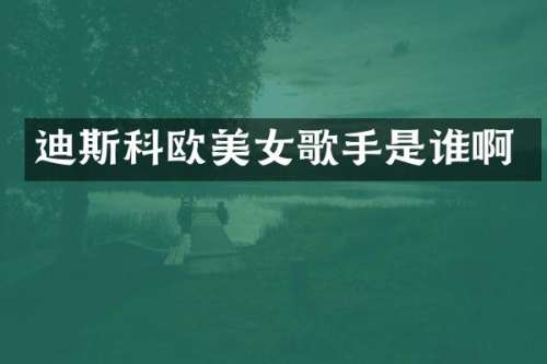 迪斯科欧歌手是谁啊