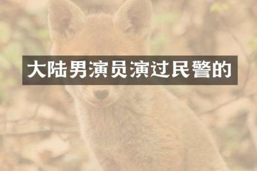 大陆男演员演过民警的