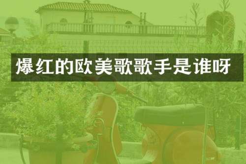 爆红的欧美歌歌手是谁呀