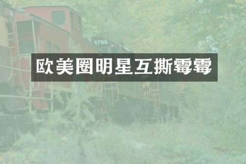 欧美圈明星互撕