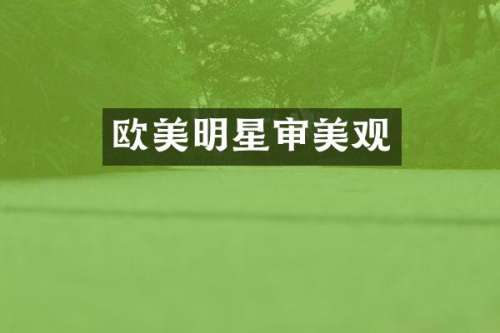 欧美明星审美观