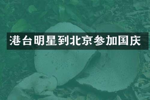 港台明星到北京参加国庆