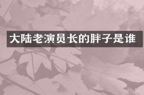 大陆老演员长的胖子是谁