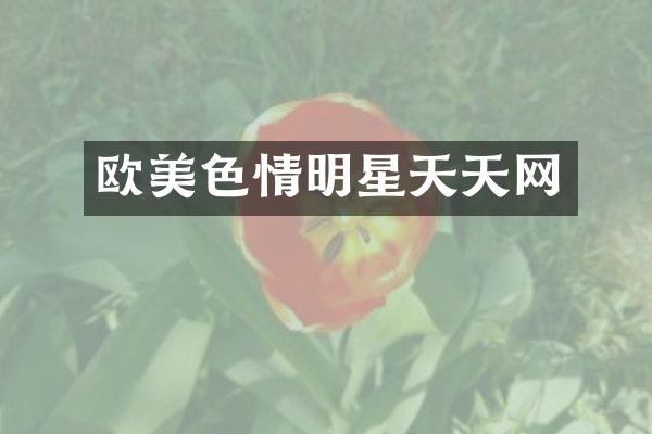情明星天天网