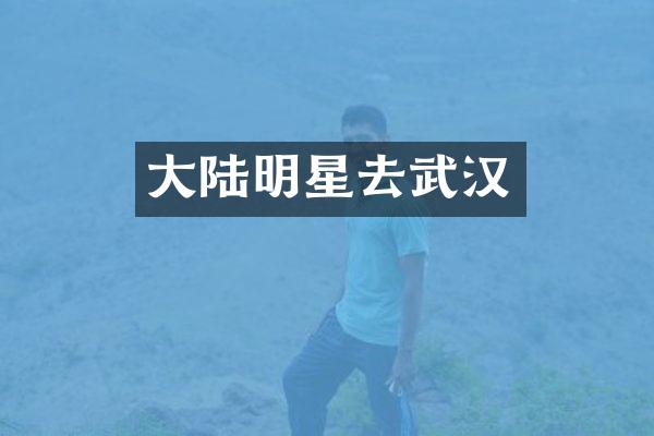 大陆明星去武汉