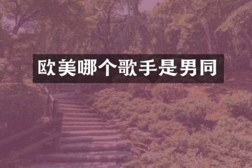 欧美哪个歌手是