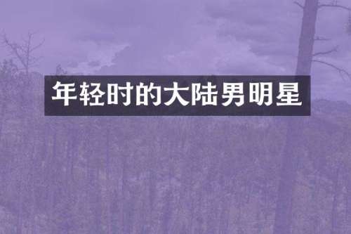 年轻时的大陆男明星