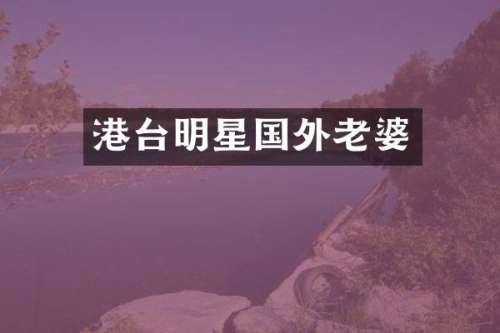 港台明星国外老婆