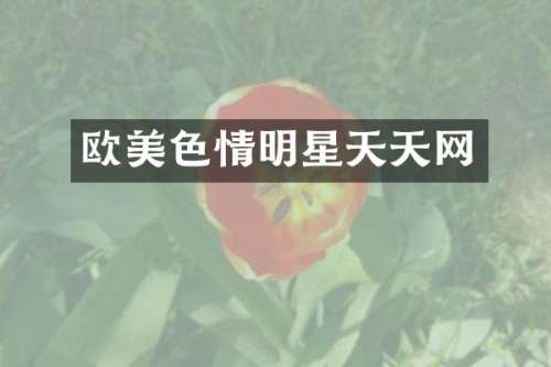 情明星天天网