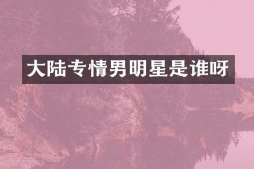 大陆专情男明星是谁呀