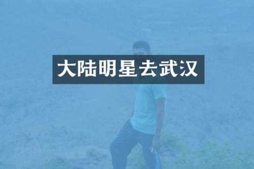 大陆明星去武汉