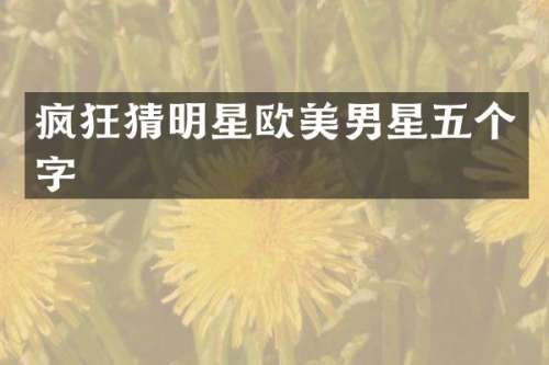 疯狂猜明星欧美男星五个字