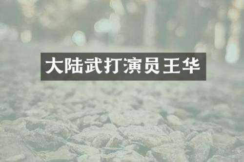 大陆武打演员王华
