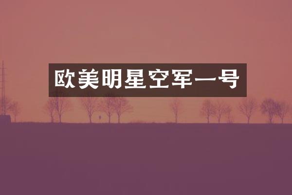 欧美明星空军一号