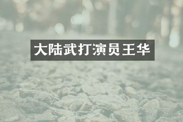 大陆武打演员王华