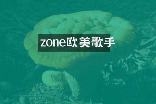 zone欧美歌手