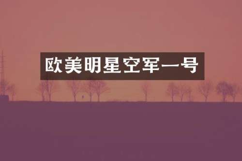 欧美明星空军一号