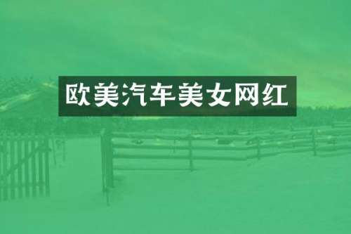 欧美汽车网红
