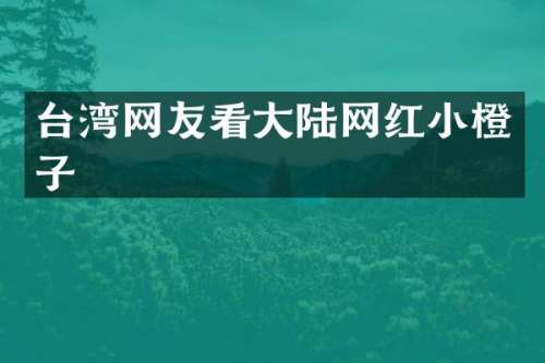 台湾网友看大陆网红小橙子