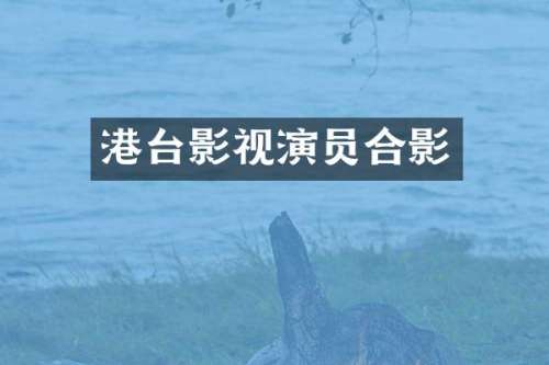 港台影视演员合影
