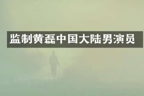 监制黄磊中国大陆男演员