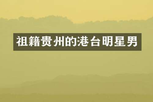 祖籍贵州的港台明星男