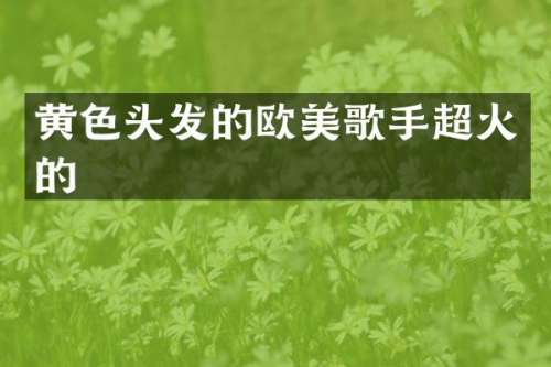 黄色头发的欧美歌手超火的
