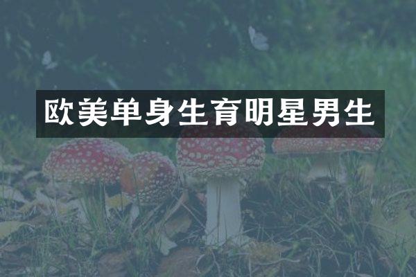 欧美单身生育明星男生