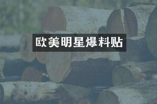欧美明星爆料贴