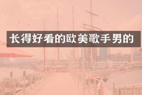 长得好看的欧美歌手男的