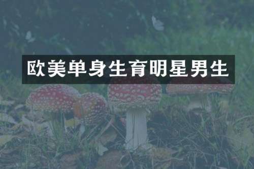 欧美单身生育明星男生
