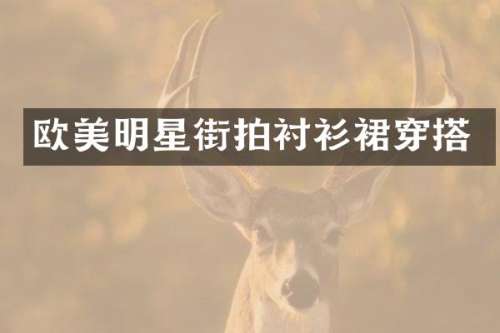 欧美明星街拍衬衫裙穿搭