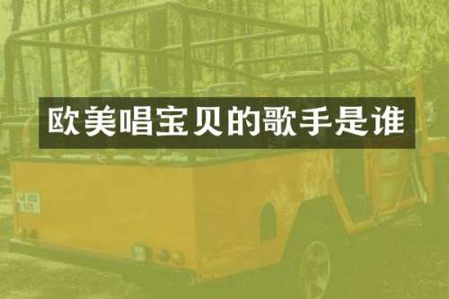 欧美唱宝贝的歌手是谁