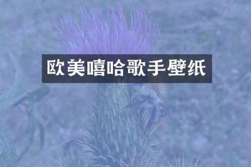 欧美嘻哈歌手壁纸
