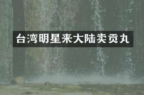 台湾明星来大陆卖贡丸