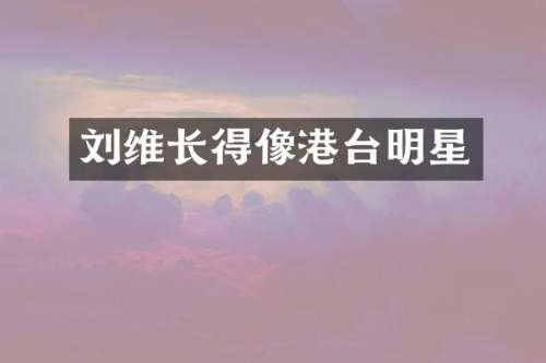 刘维长得像港台明星
