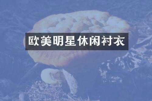 欧美明星休闲衬衣