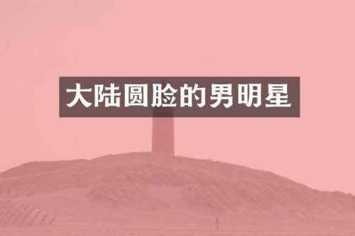 大陆圆脸的男明星